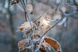 背中のニキビ対策に最適な冬の乾燥対策は？