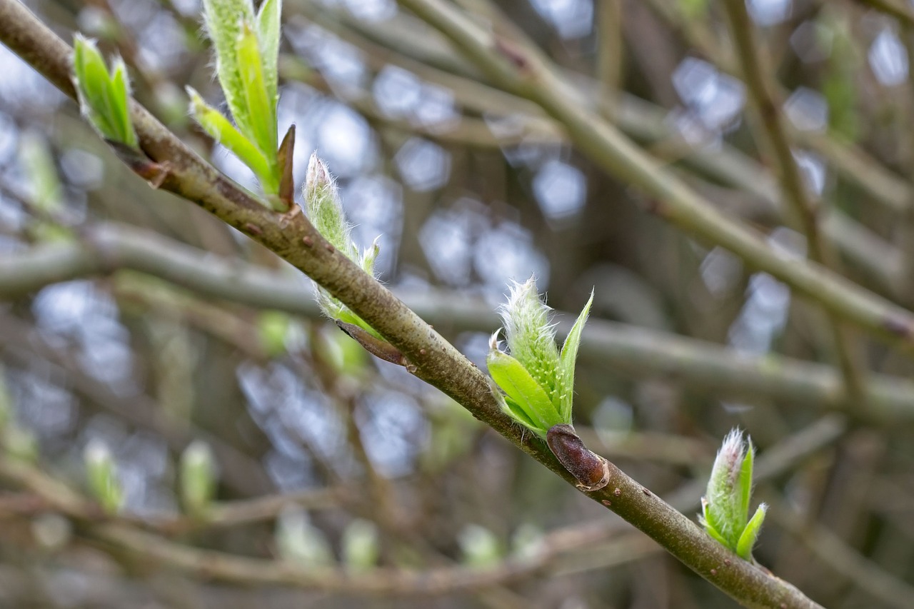おでこにできるニキビの原因は男性特有の何か？