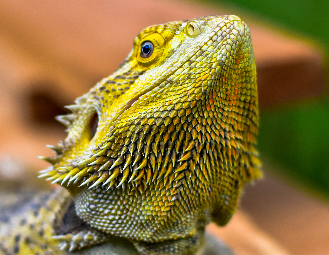 ヒゲ脱毛がニキビを良くする理由とは？