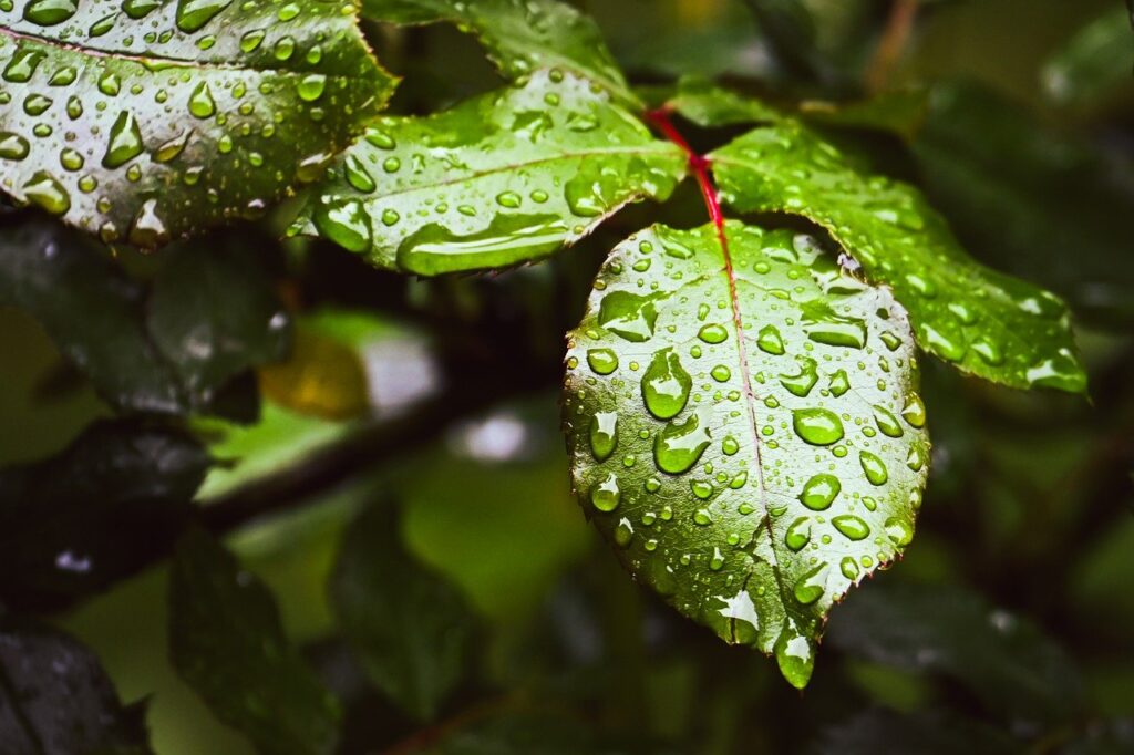 男性にニキビ対策に保湿は必要なのか？