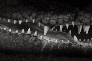 顎ニキビの原因は男性ホルモンによるものなのか？