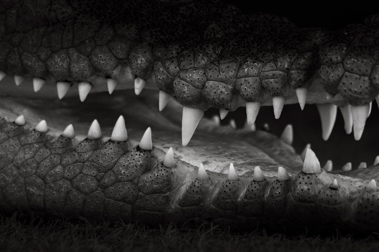 顎ニキビの原因は男性ホルモンによるものなのか？