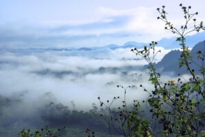 汗ニキビの胸元とデコルテ同時対策は？