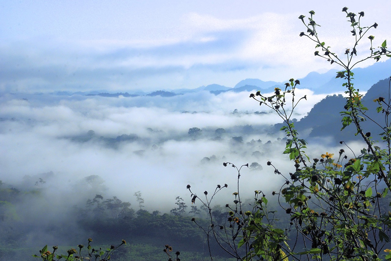 汗ニキビの胸元とデコルテ同時対策は？