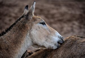 お尻のニキビをお風呂で効果的に洗い方は？