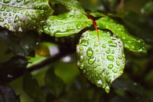 ひじ下のニキビ対策に役立つ保湿を忘れないためのコツは？