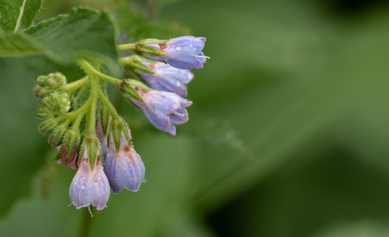 思春期ニキビと大人ニキビの違いは男性にどのように影響するのか？