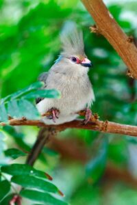 うなじのニキビが気になる汗をかきやすい人のための対策は？