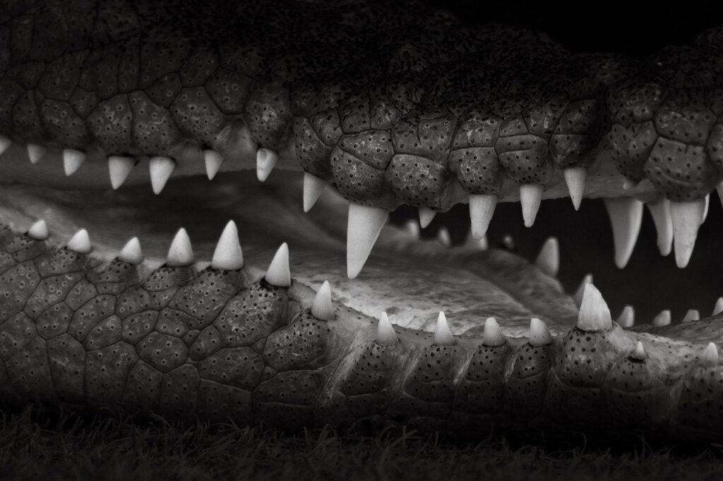 生理前に顎のニキビが悪化する原因とは？