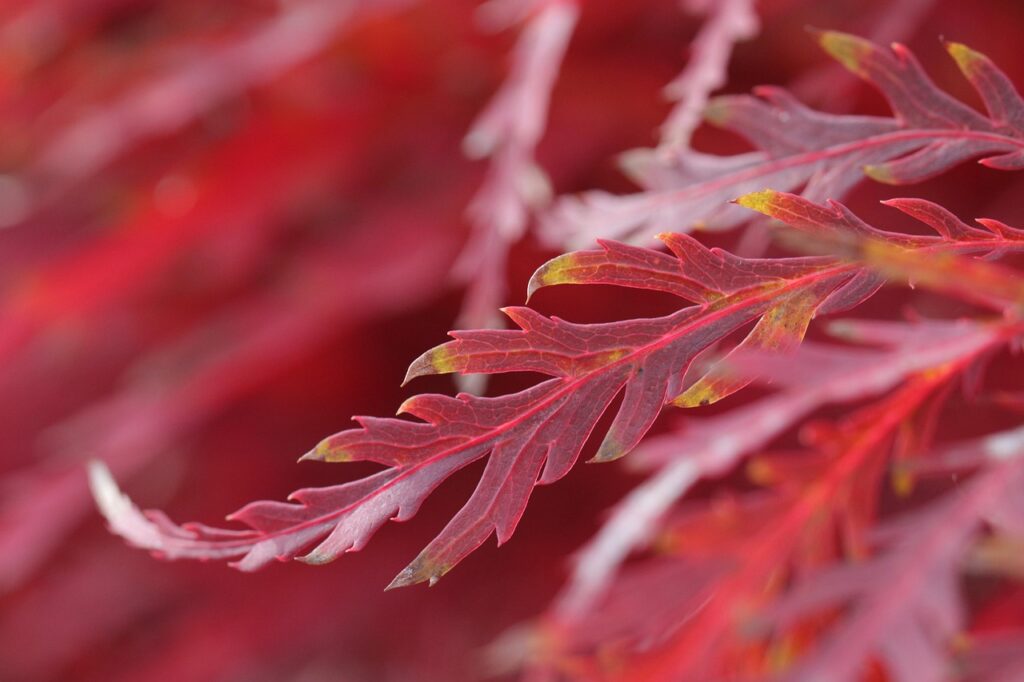 眉間のニキビに悩むインナードライ肌向けの対策は？