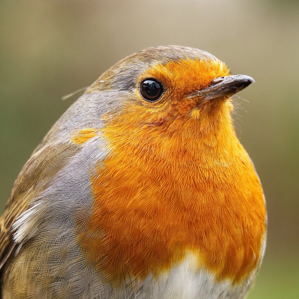 胸にニキビが繰り返す理由とは？