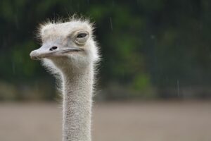 胸ニキビを予防するための効果的な方法は？