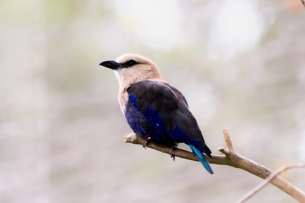 頬のニキビを改善する方法は？