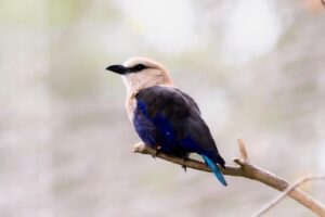 頬のニキビを改善する方法は？