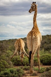 首のニキビを早く治す方法は？