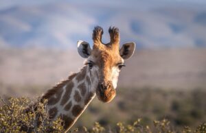 首のニキビを治すための女性向け効果的な方法は？