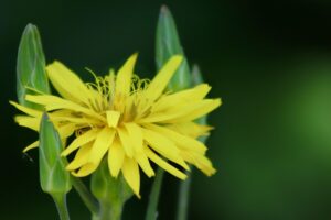 二の腕のニキビを効果的にケアする方法は？