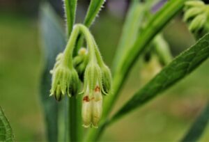ニキビに効く漢方の口コミはどれが本当に効果的？