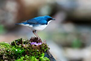 背中のニキビを治すために皮膚科で受けるべき治療法は？