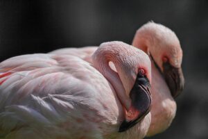 首のニキビを効果的に治す方法は？